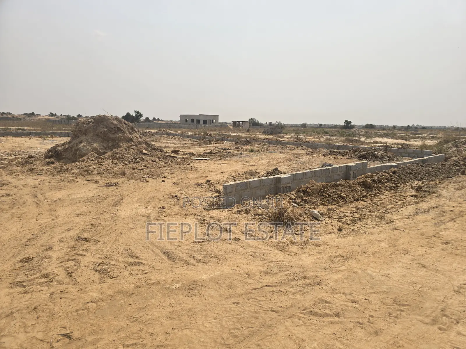Own Land Without Delay — Half Plot at Tsopoli Skyport