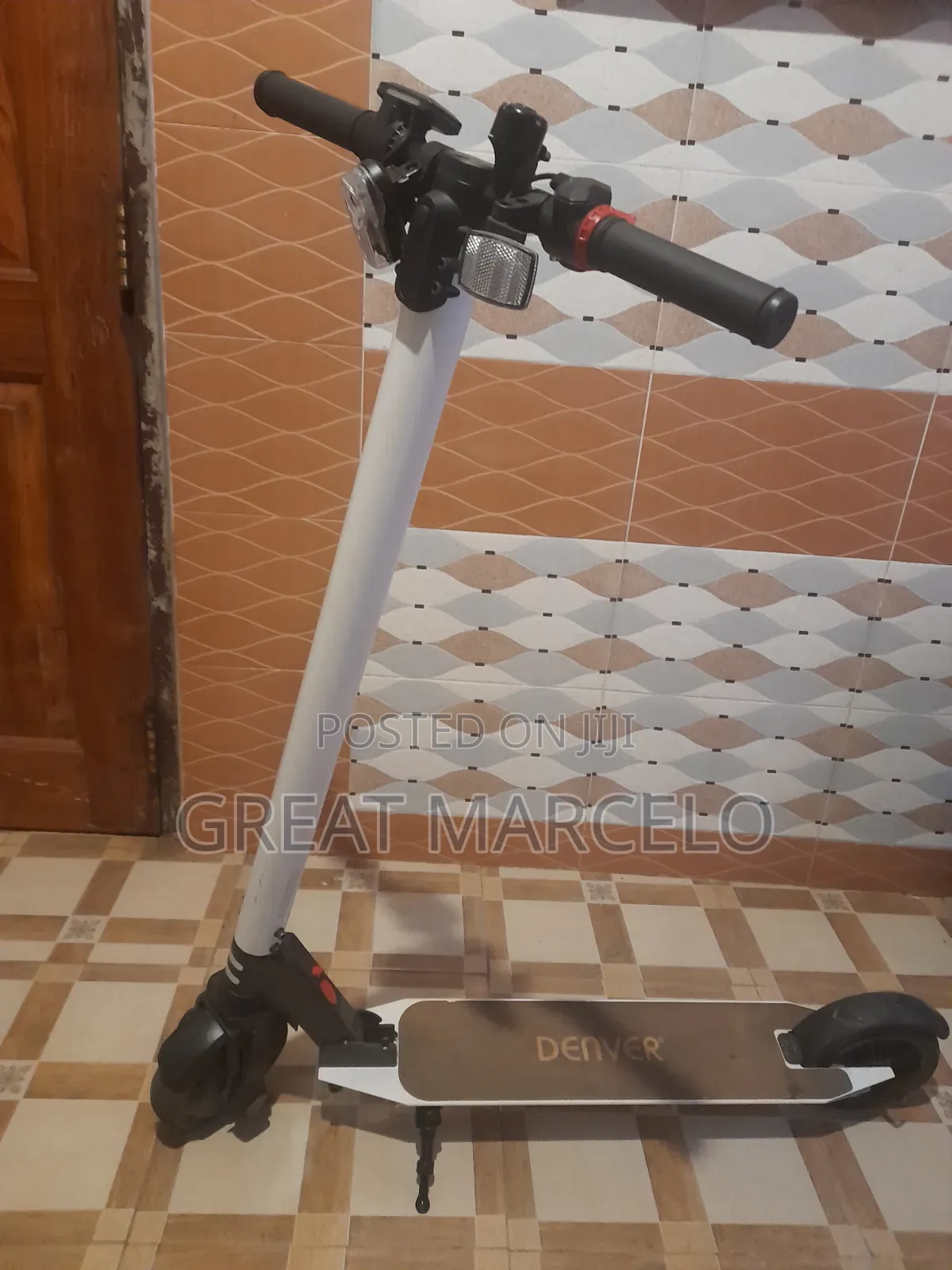 Denver Electric Scooter