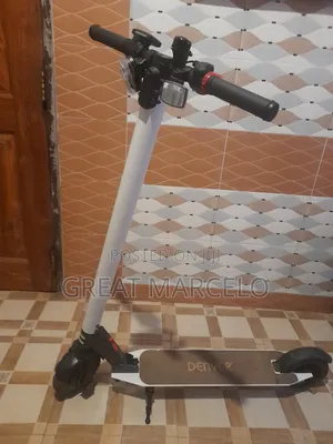 Denver Electric Scooter