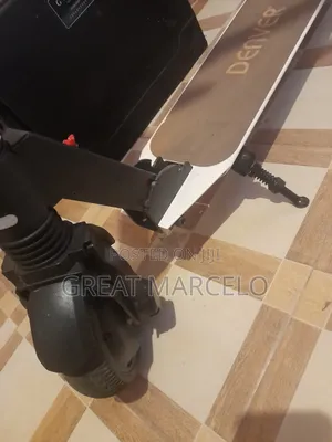 Denver Electric Scooter