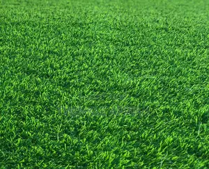 Green Grass Carpet