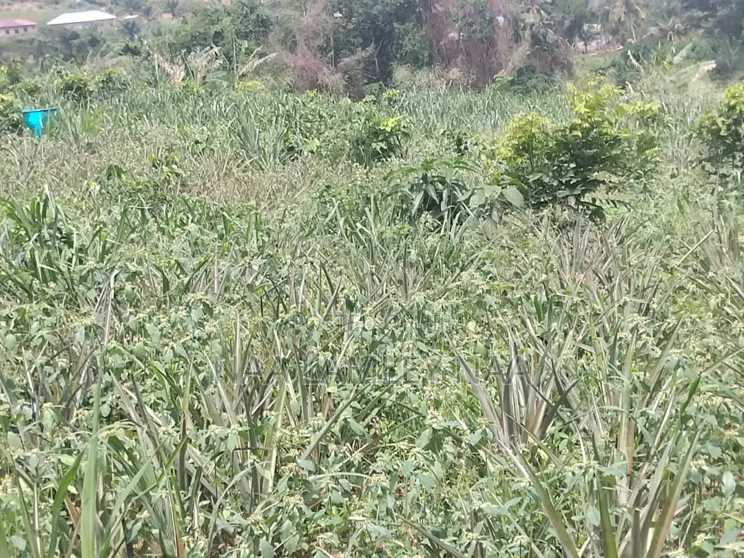 Little Over Half Plot of Land in a Gated Community Prampram for Sale