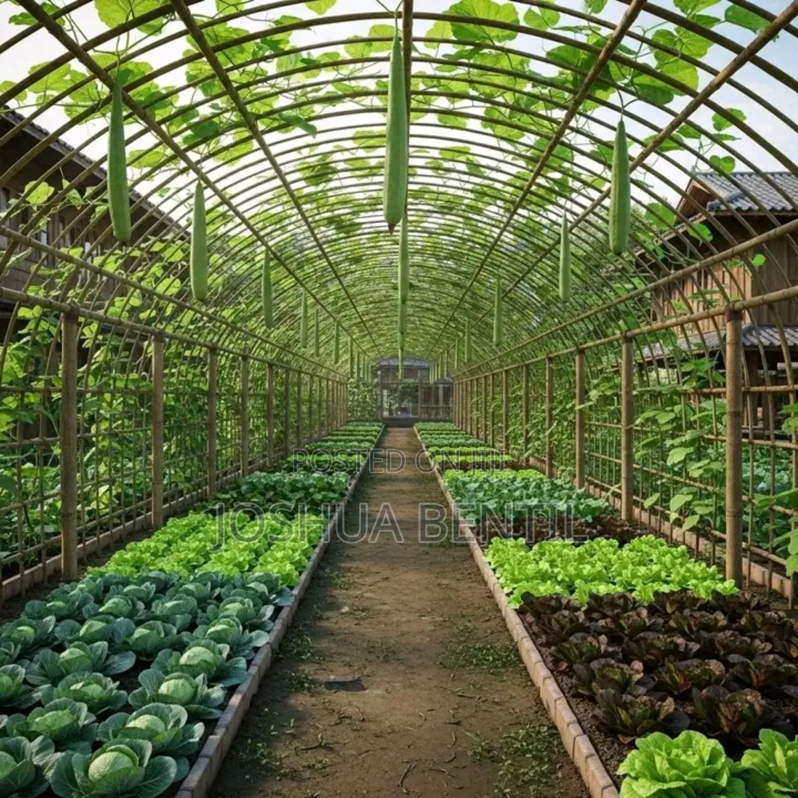 Professional Farmer and Fish Farming