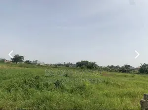 5 And 1/2 Plots For Sale At Trede