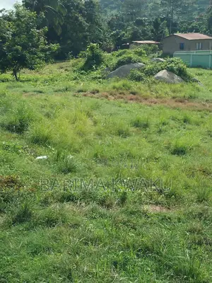 5 And 1/2 Plots For Sale At Trede