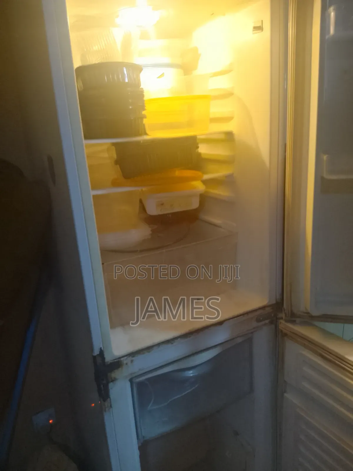 Bottom Freezer Fridge