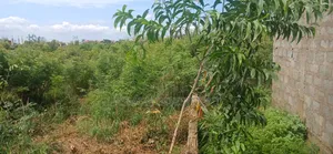 1 Acre Land at Valley View University Oyibi for Sale