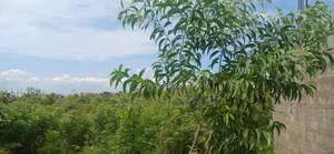 1 Acre Land at Valley View University Oyibi for Sale