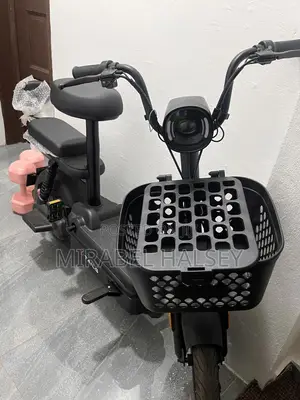 New Tailg 2025 Black