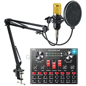 Condenser Microphone