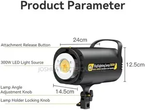 Studio Light With Remote Professional Photography Video Light 300w
