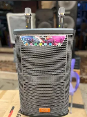 NDR 12 Inches Rechargeable Speaker With 2 Wireless Microphones
