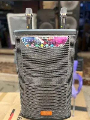 NDR 12 Inches Rechargeable Speaker With 2 Wireless Microphones