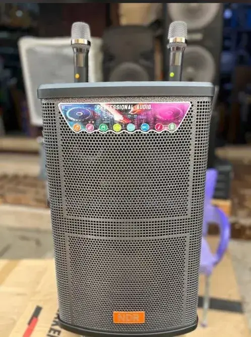 NDR 12 Inches Rechargeable Speaker With 2 Wireless Microphones