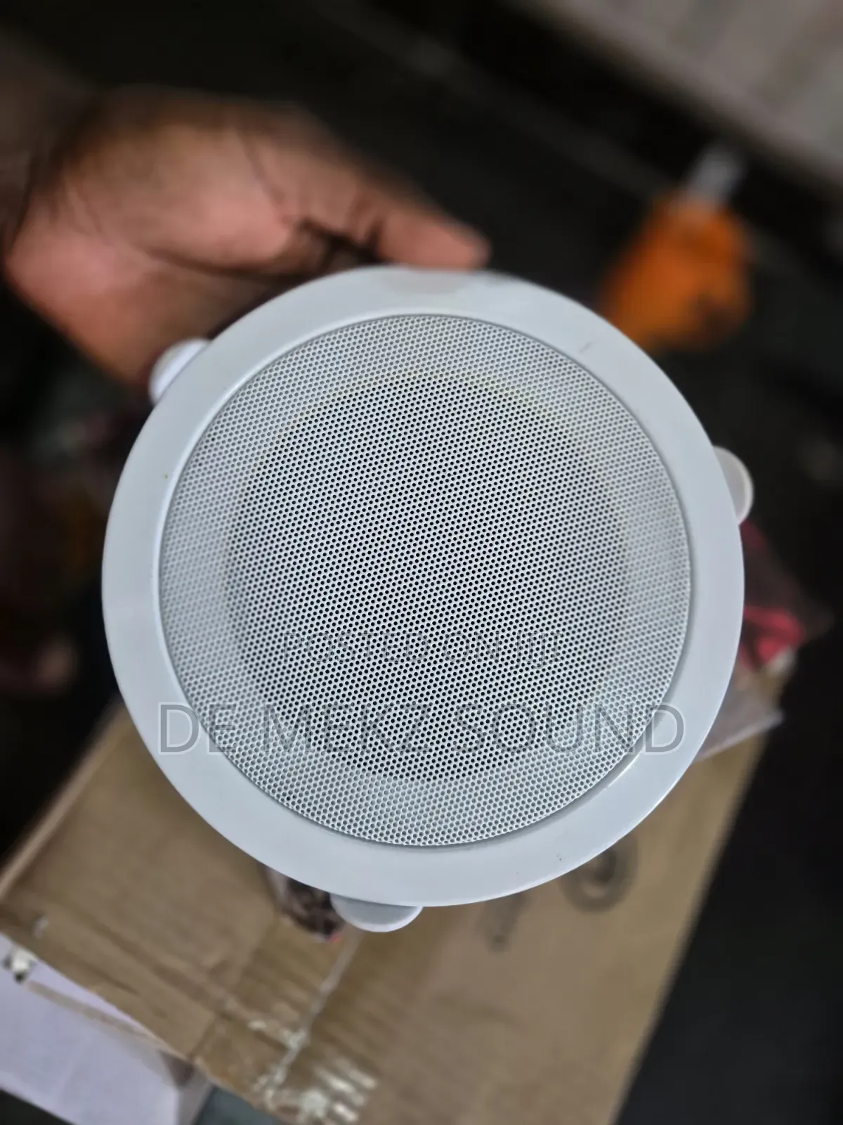 Ceiling Speaker