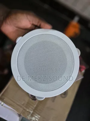 Ceiling Speaker