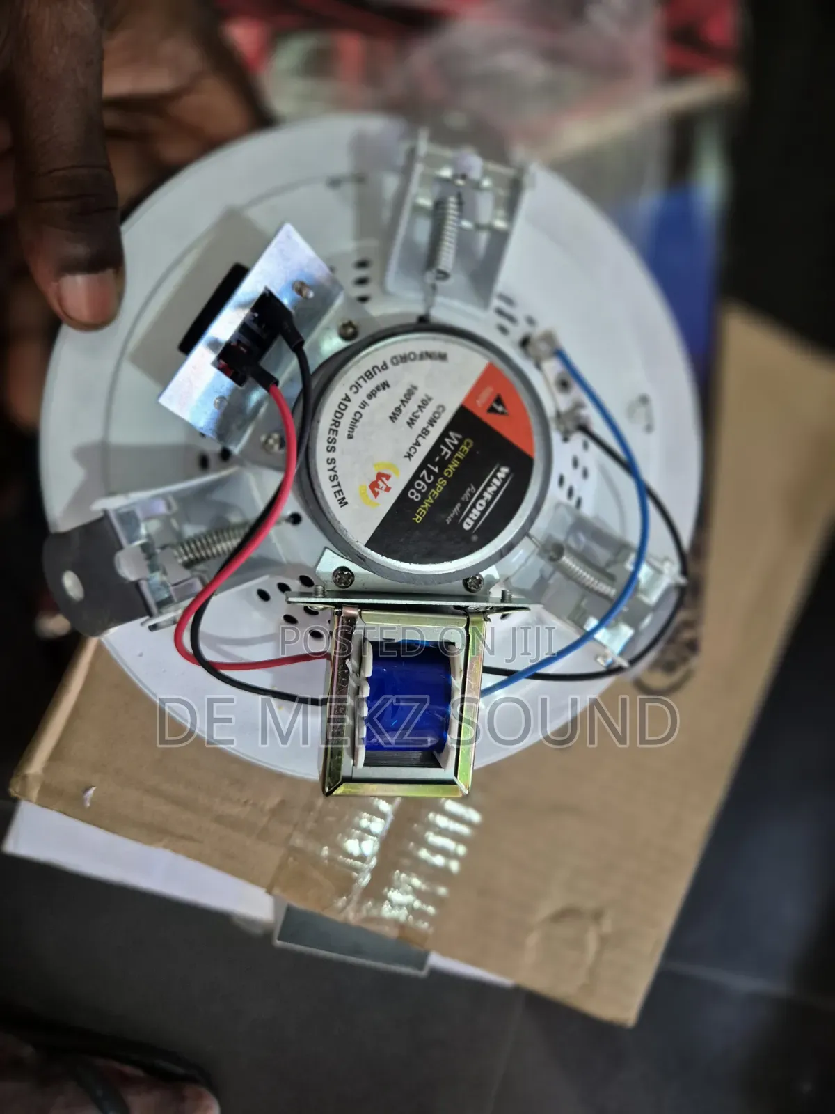 Ceiling Speaker