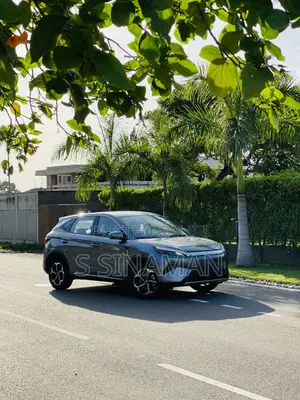 New BYD Yuan Plus 2025 Silver