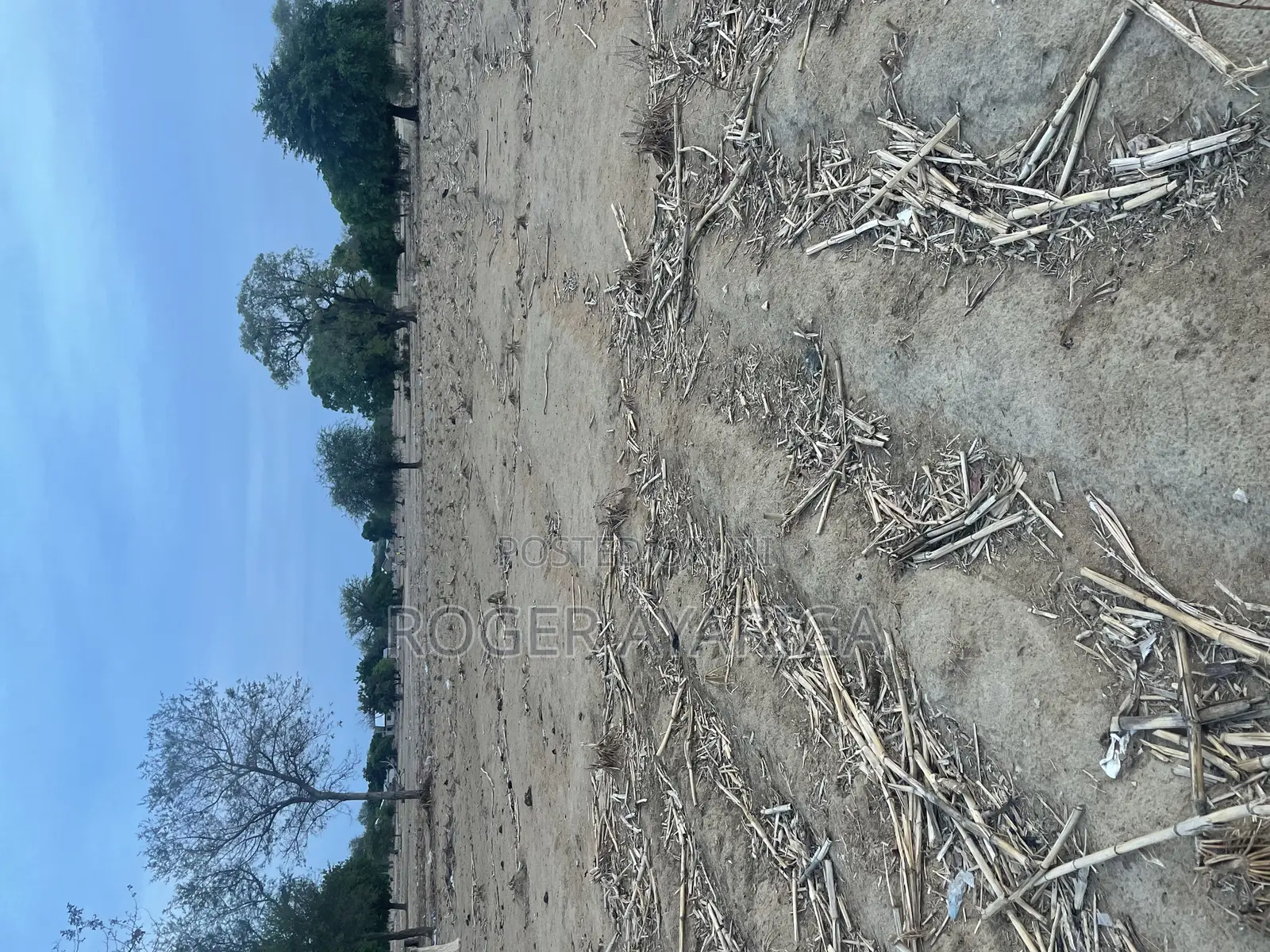 Lands for Sale at Sumbrungu Anateem