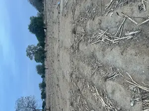 Lands for Sale at Sumbrungu Anateem
