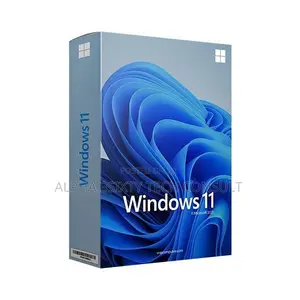 Windows 11 Installation