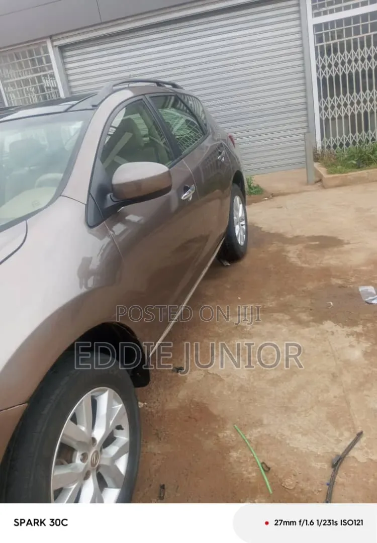 Nissan Murano SL 2010 Gray