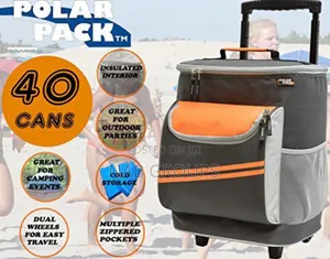 Large Insulated Picnic Bag