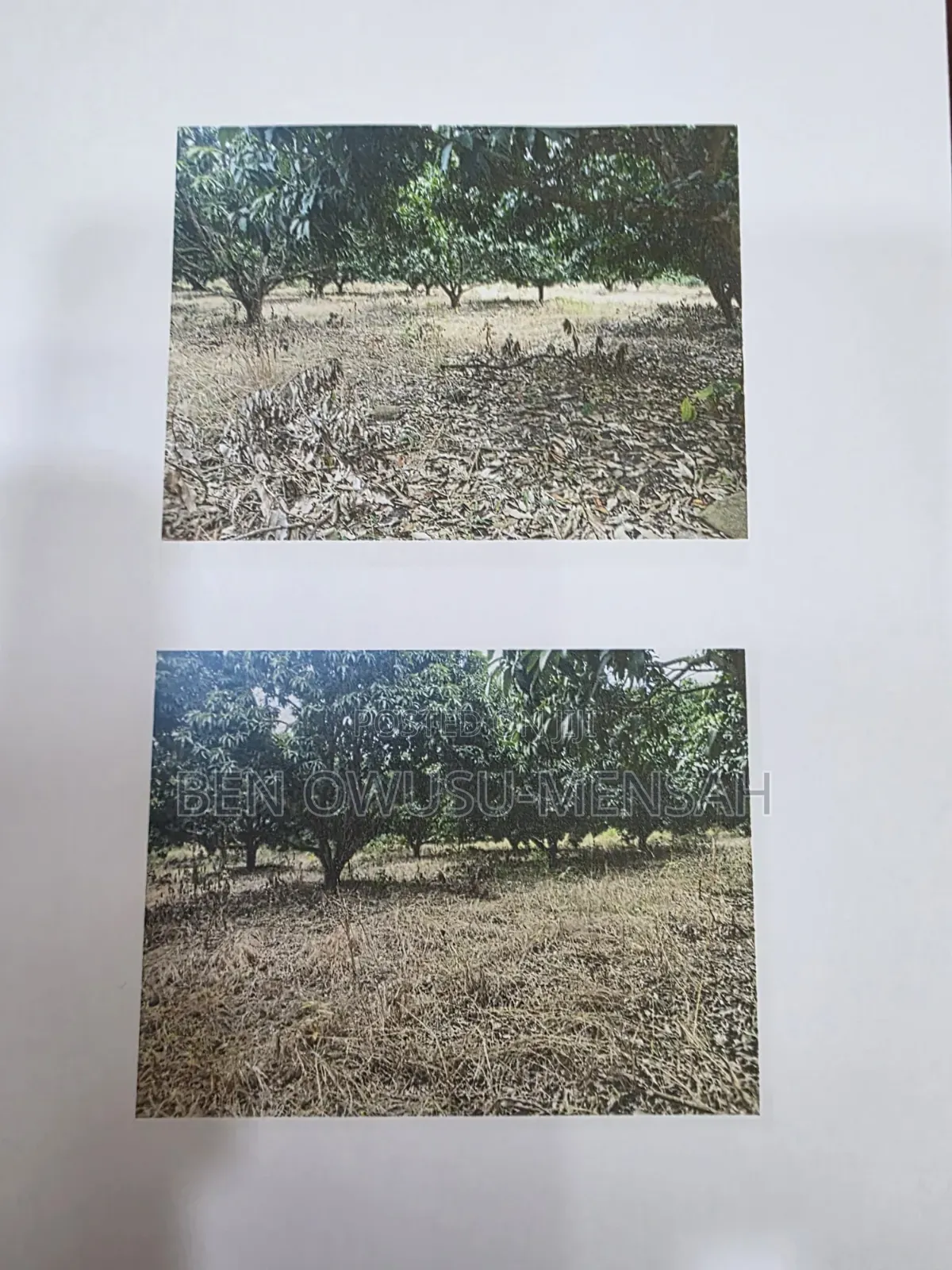 23 Acre Land for Sale