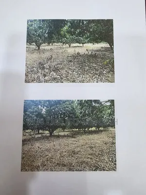23 Acre Land for Sale