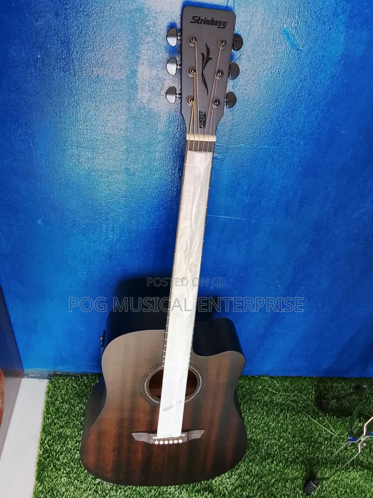 Semi Acoustic Guitar