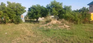 1 Acre Land Within the Developing Area of East Legon Hills Is for Sale