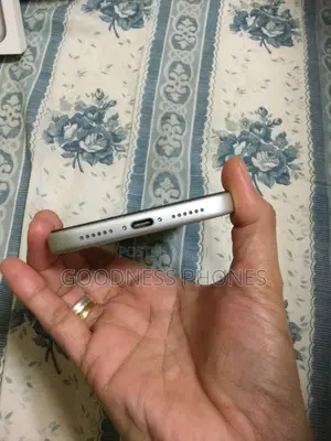 Apple iPhone 17 Pro Max 256 GB Silver
