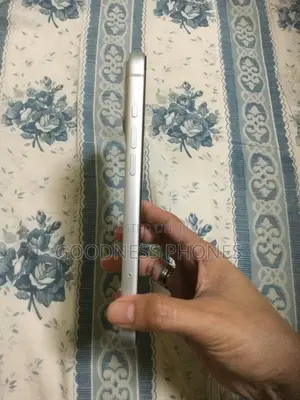 Apple iPhone 17 Pro Max 256 GB Silver