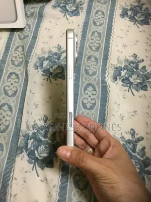 Apple iPhone 17 Pro Max 256 GB Silver