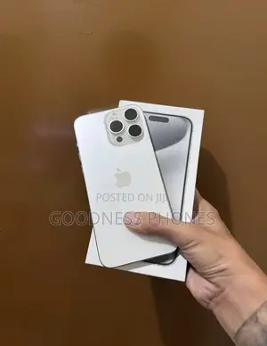 Apple iPhone 15 Pro Max 256 GB Silver