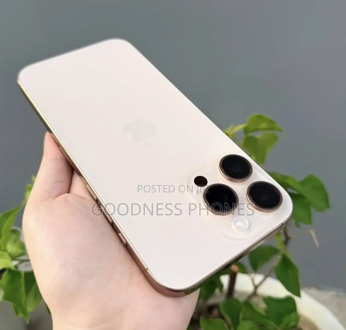 Apple iPhone 16 Pro Max 256 GB Gold
