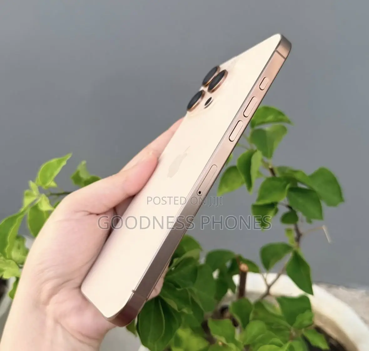 Apple iPhone 16 Pro Max 256 GB Gold