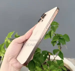 Apple iPhone 16 Pro Max 256 GB Gold