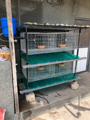 4 Unit Cage For Rabbits And Grasscutters