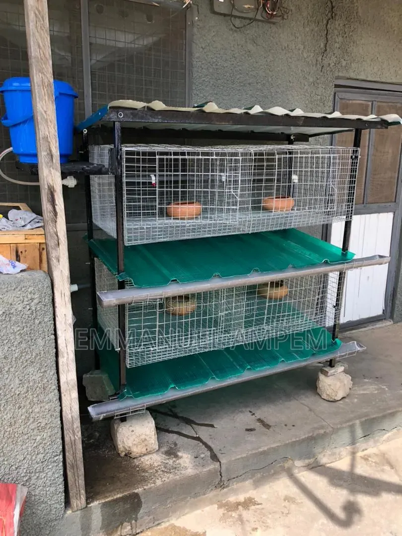 4 Unit Cage For Rabbits And Grasscutters