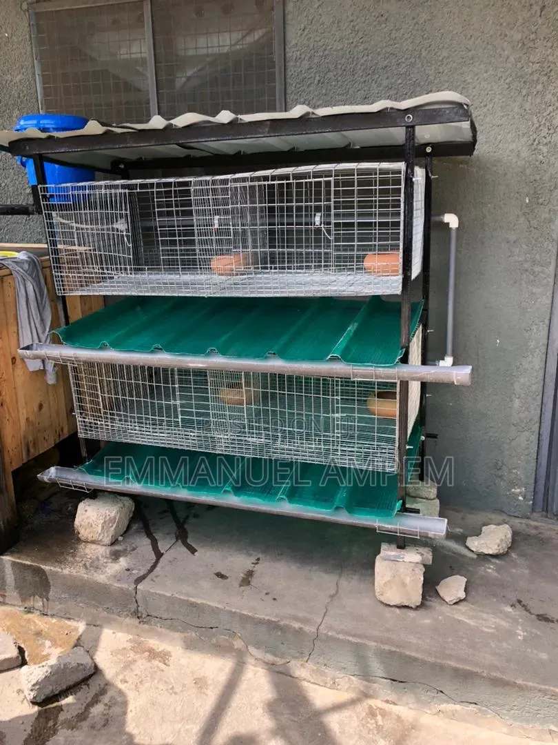 4 Unit Cage For Rabbits And Grasscutters