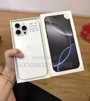 Apple iPhone 16 Pro Max 256 GB Silver