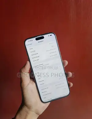 Apple iPhone 16 Pro Max 256 GB Silver