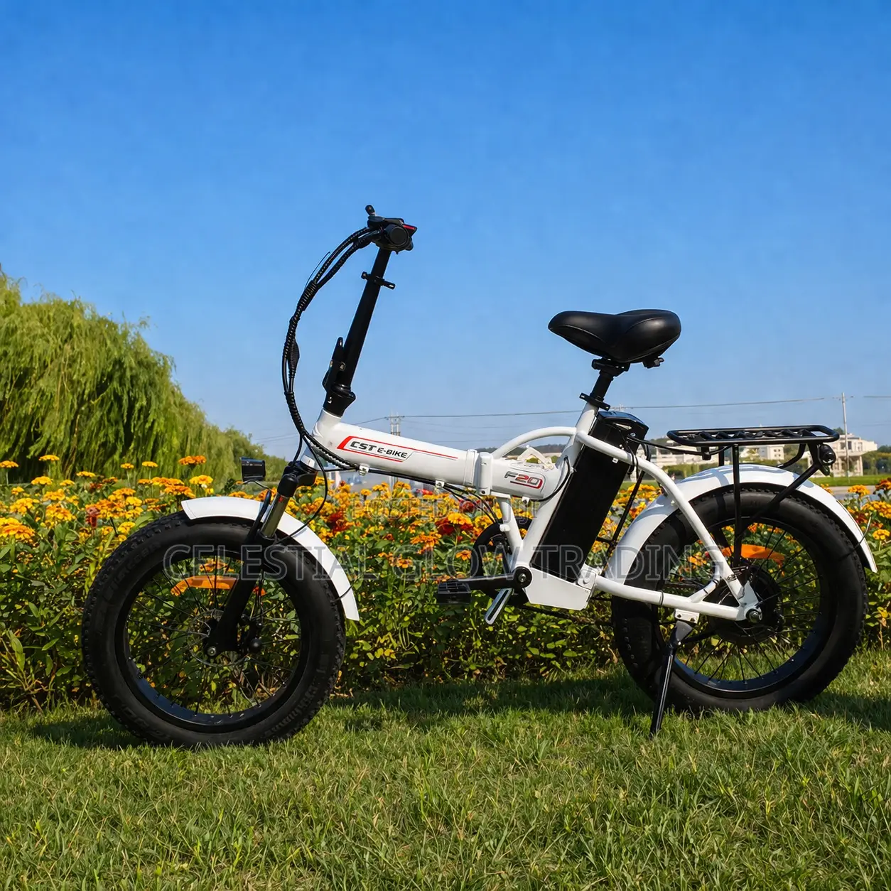 20- Inch Folding Electric Assist Bicycle Fat Tire Electric Scooter