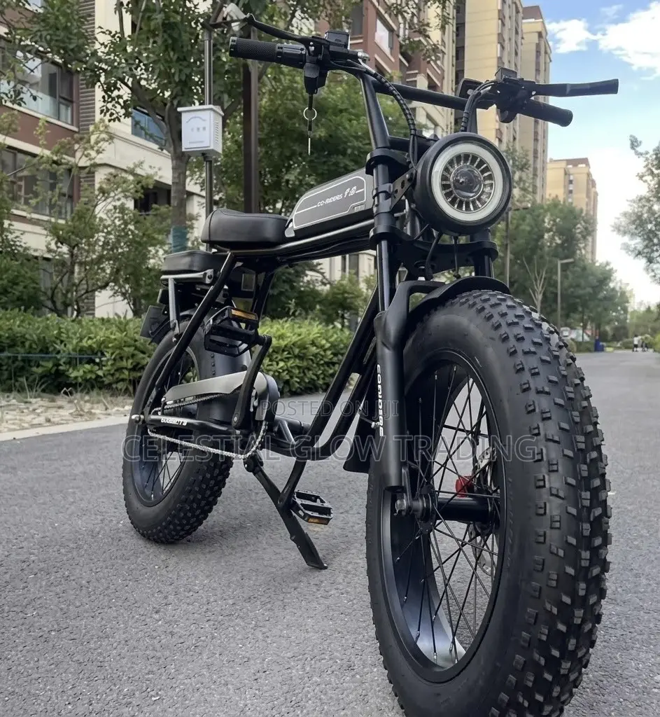 High-Performance Fat Tire Electric Bike | 350w-1500w Retro E-Bike