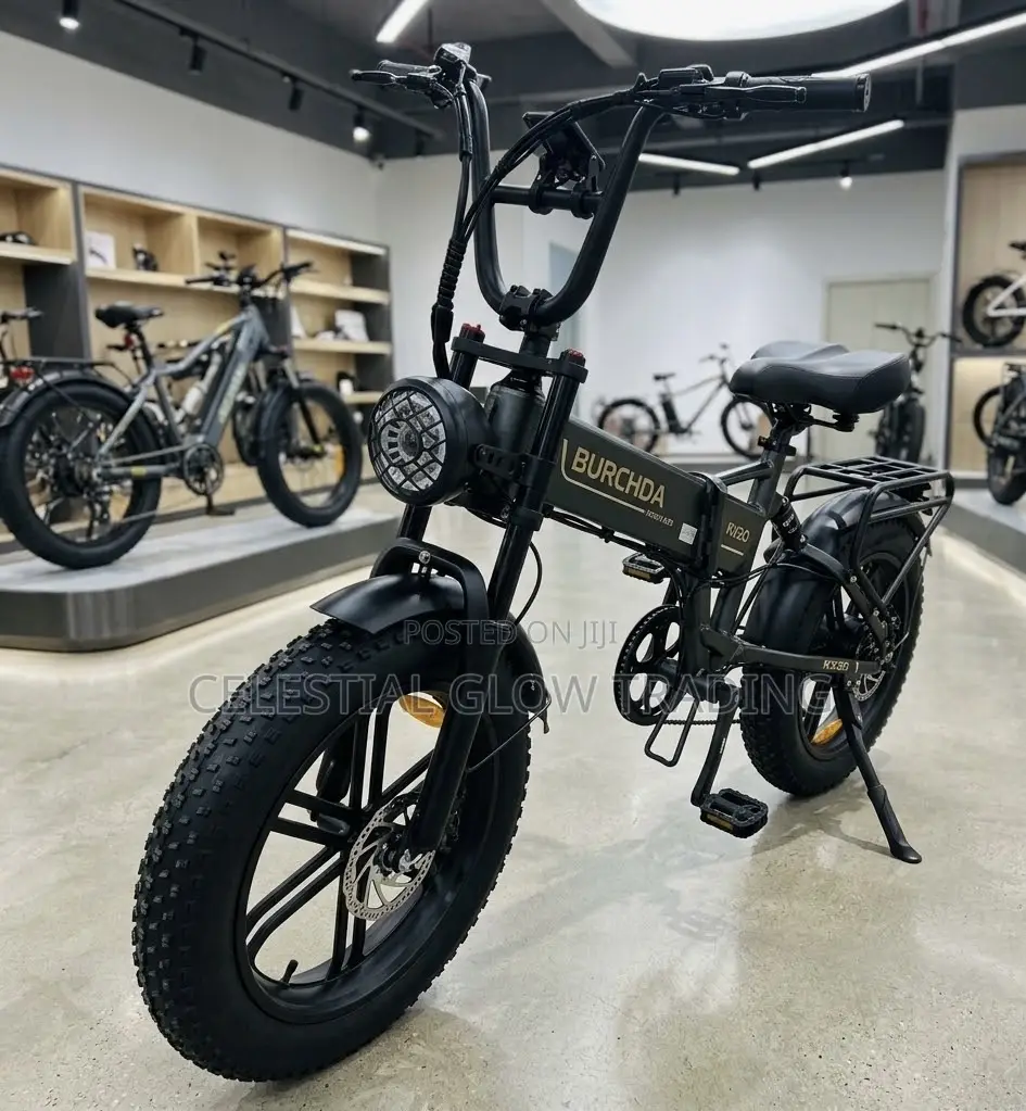 High-Performance Fat Tire Electric Bike | 350w-1500w Retro E-Bike