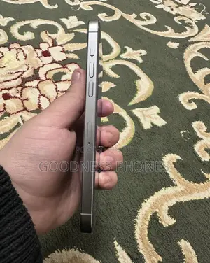 Apple iPhone 15 Pro Max 256 GB Silver