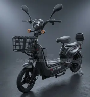Evestar Electric Scooter E-Bike | Dual Seat With Storage Basket