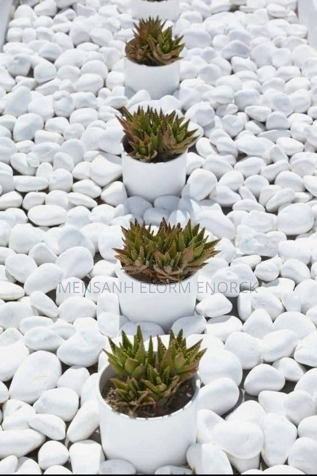 White Stone Seler