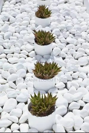 White Stone Seler